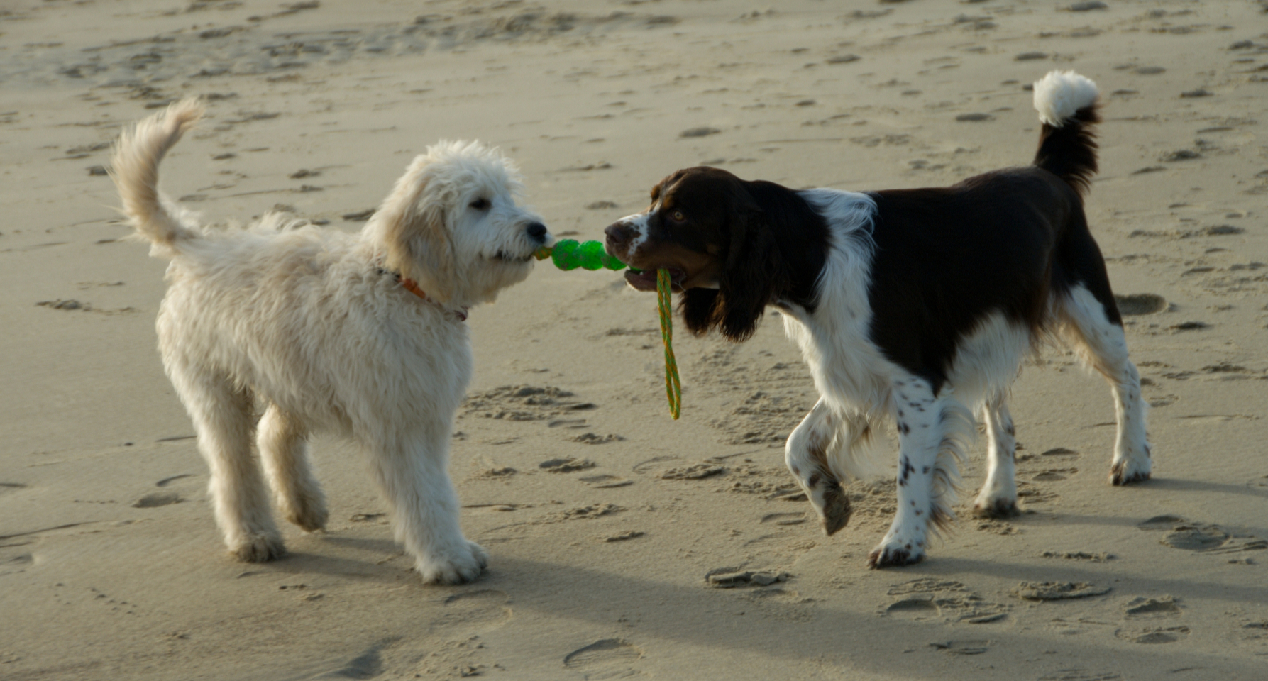 image.1.5fd0bad885cbe